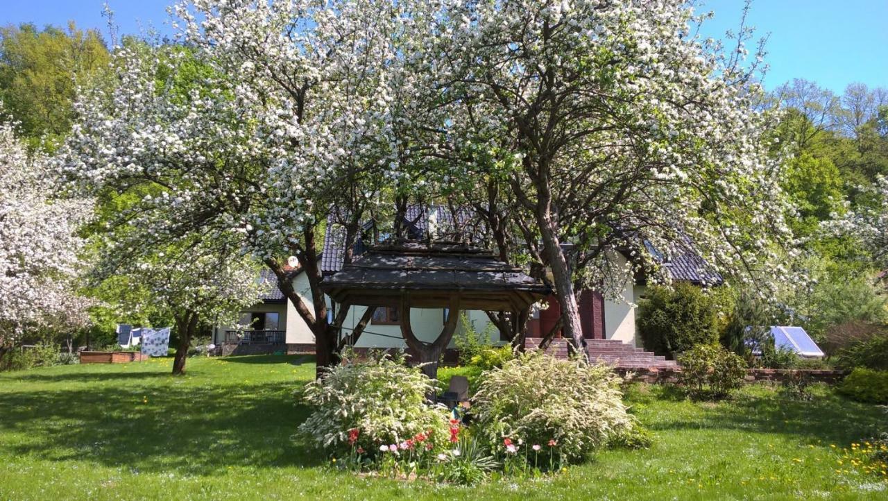 Sianki Nad Sanem Villa Sanok Exterior photo
